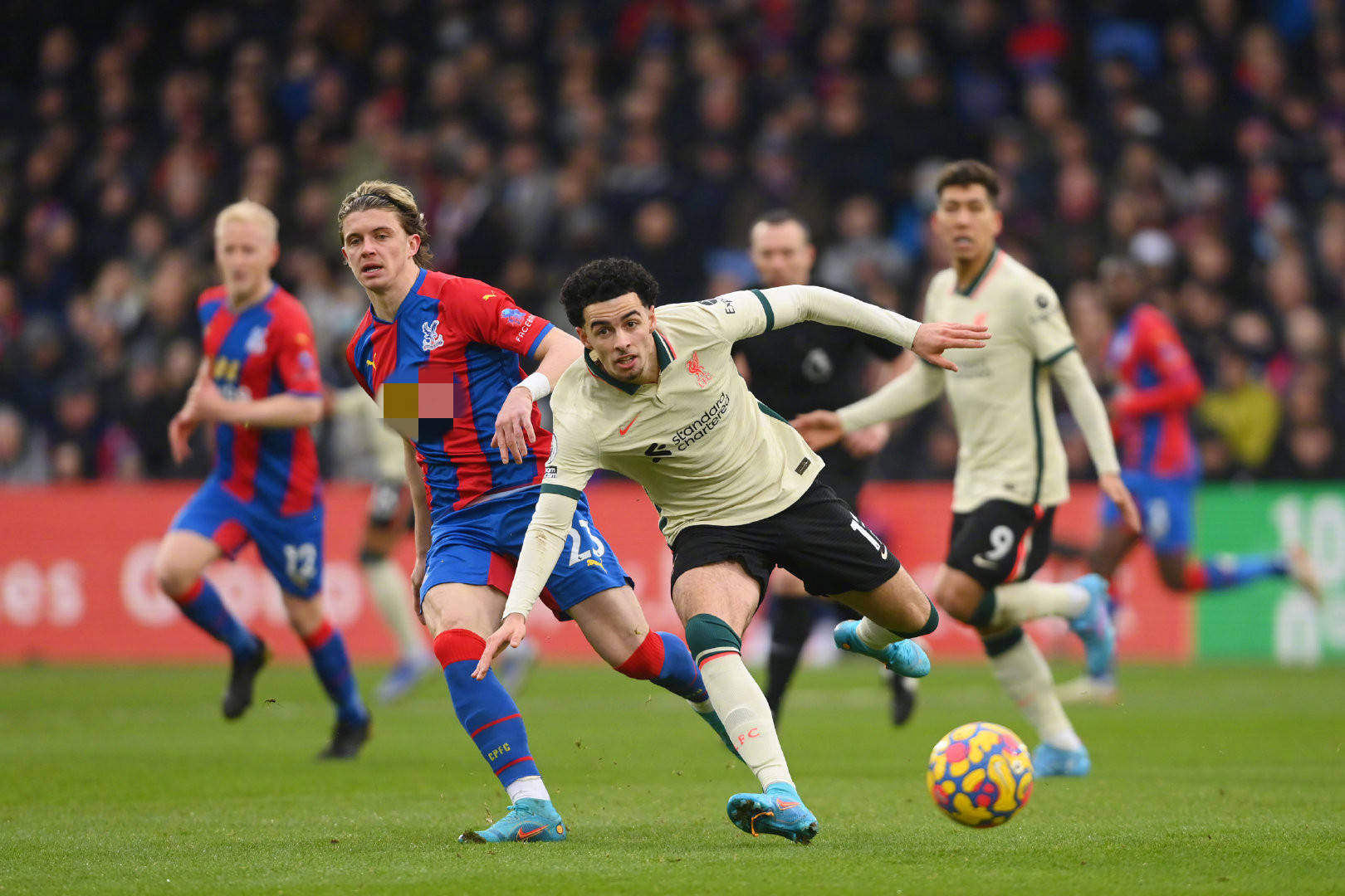 球队在NB 球队在NB